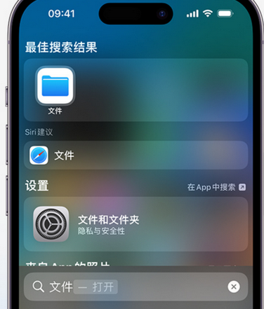 农安apple维修中心分享iPhone文件应用中存储和找到下载文件 