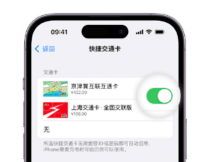 农安apple维修点分享iPhone上更换Apple Pay快捷交通卡手绘卡面 