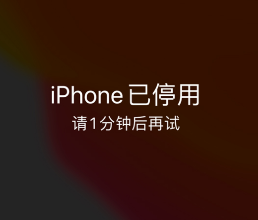 农安苹果手机维修分享:iPhone 显示“不可用”或“已停用”怎么办？还能保留数据吗？ 