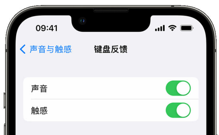 农安苹果手机维修分享iPhone 14触感键盘使用方法 