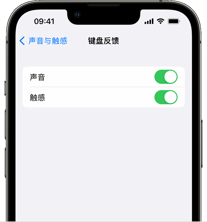 农安苹果14维修店分享如何在 iPhone 14 机型中使用触感键盘 