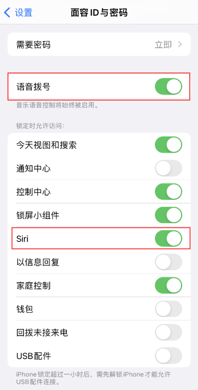 农安苹果维修网点分享不解锁 iPhone 的情况下通过 Siri 拨打电话的方法 