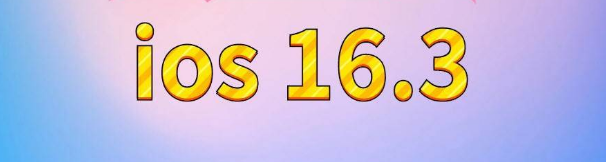 农安苹果服务网点分享苹果iOS16.3升级反馈汇总 