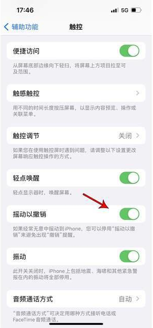 农安苹果手机维修分享iPhone手机如何设置摇一摇删除文字 